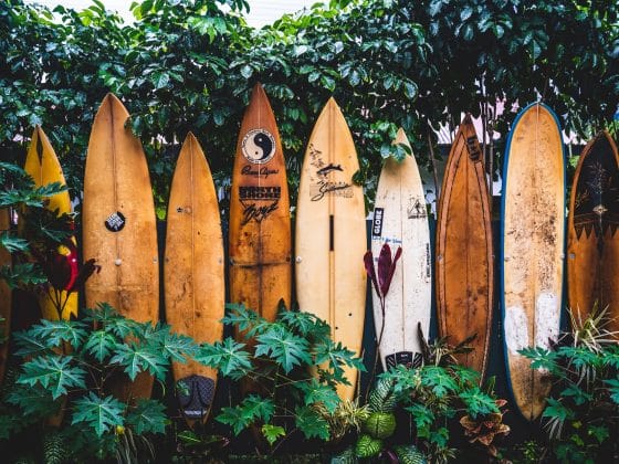 Best Surfboards