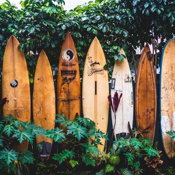 Best Surfboards
