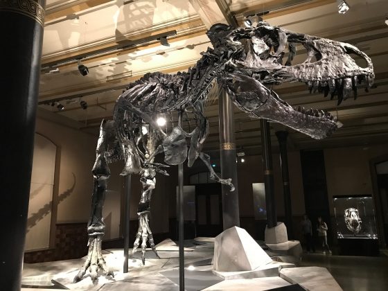 Scientists Prove that T-Rex Walked As Fast As an Average Human