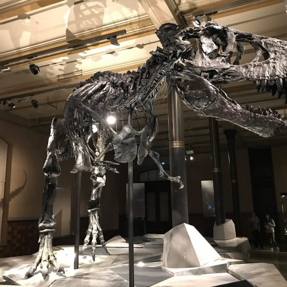 Scientists Prove that T-Rex Walked As Fast As an Average Human